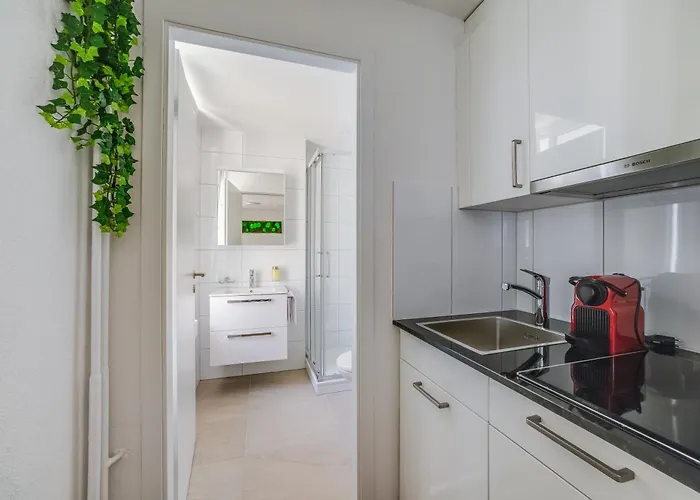 Hre St Gallen Center Daire St. Gallen