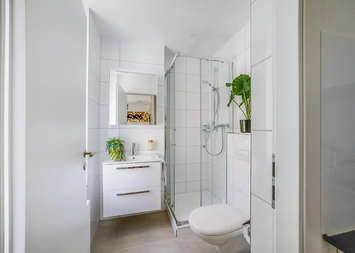 Hre St Gallen Center Daire