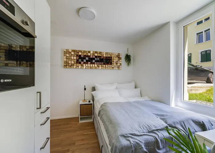 Hre St Gallen Center Daire St. Gallen